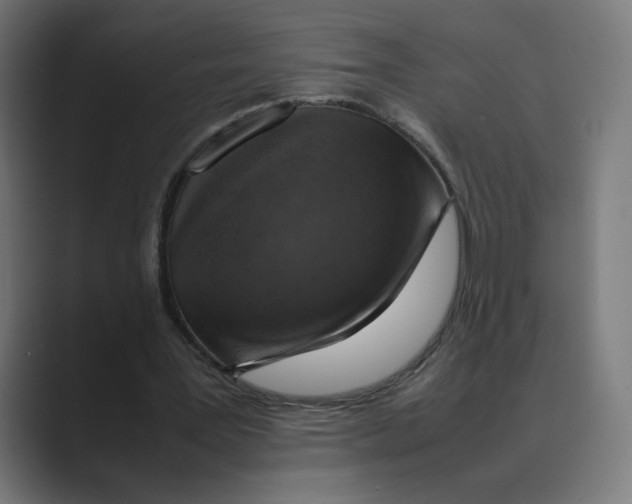 X0000088420387200706191220
