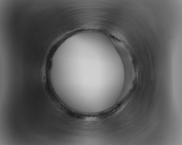 X0000088420388200706191220