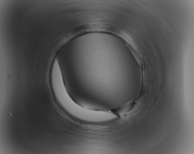 X0000088420389200706191220