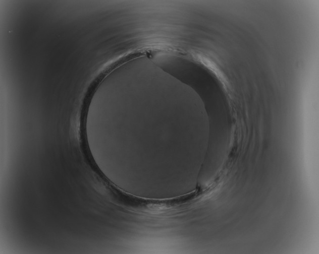 X0000088420391200706191220