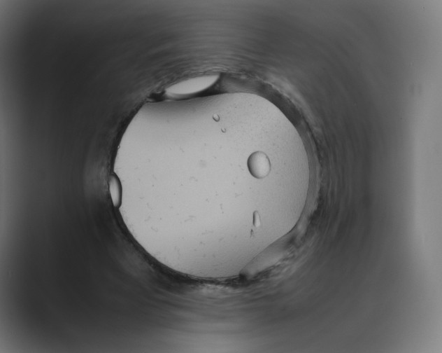 X0000088420393200706191220