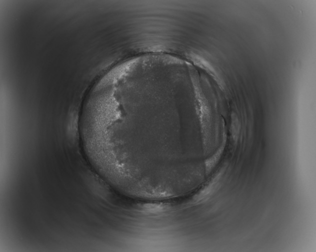 X0000088420394200706191220