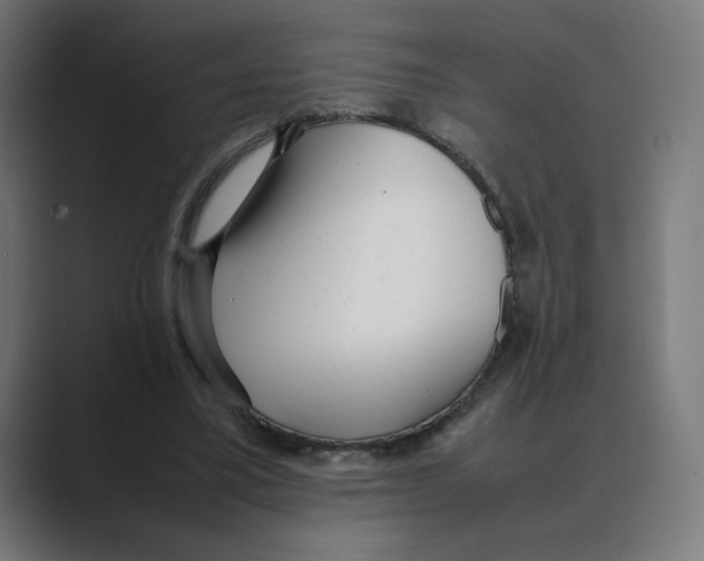 X0000088420395200706191219