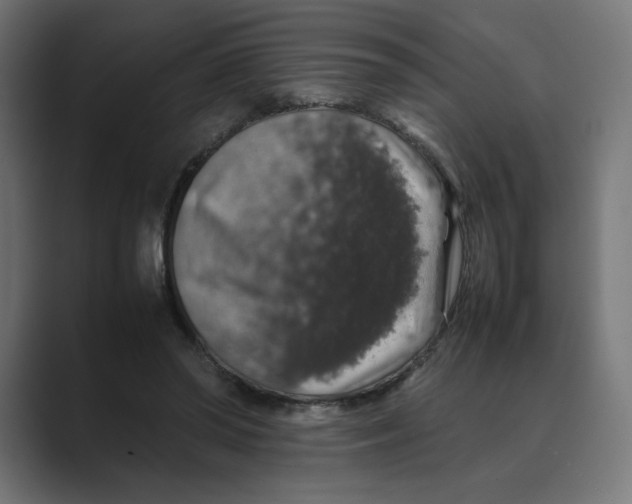 X0000088420398200706191219
