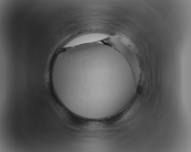 X0000088420399200706191219