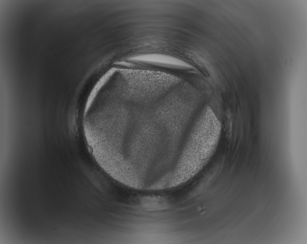X0000088420400200706191219