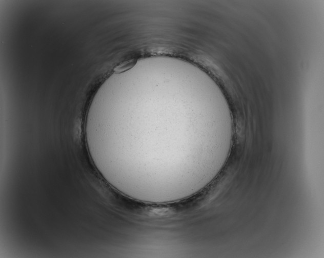 X0000088420401200706191219
