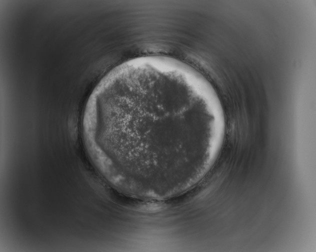 X0000088420402200706191219