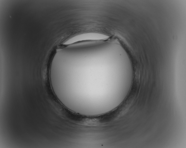 X0000088420403200706191219