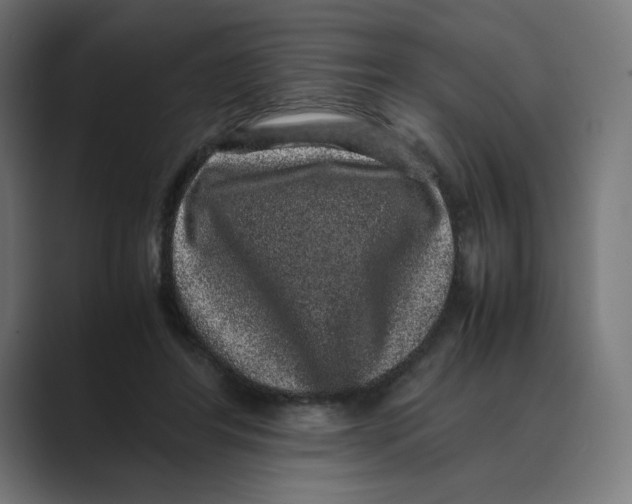 X0000088420404200706191219