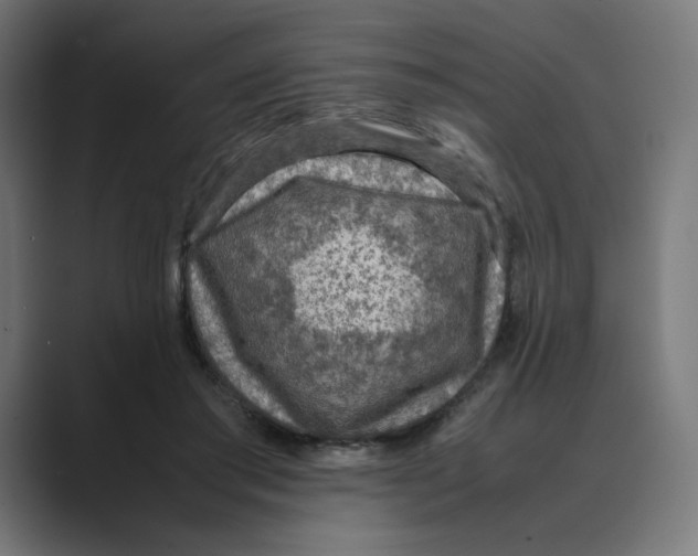 X0000088420405200706191219