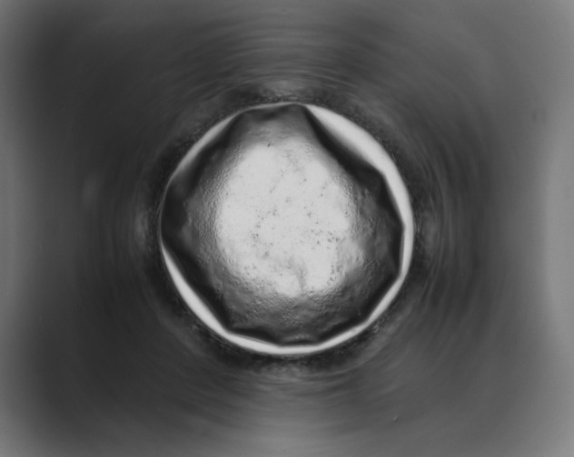 X0000088420408200706191219