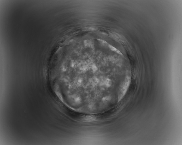 X0000088420409200706191219