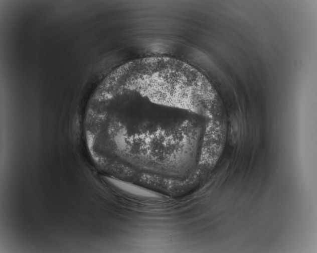 X0000088420410200706191219