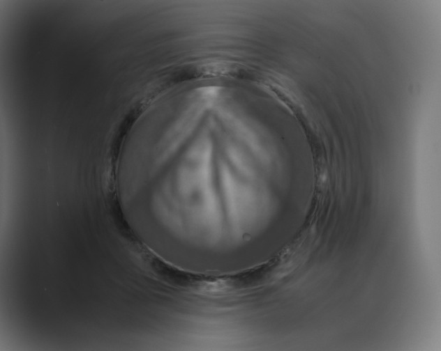 X0000088420411200706191219