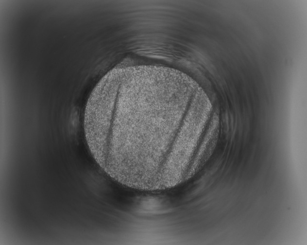 X0000088420412200706191219