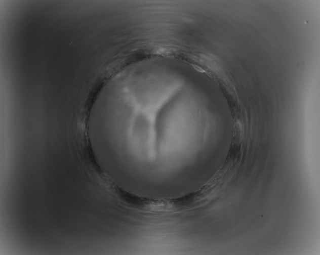 X0000088420415200706191219
