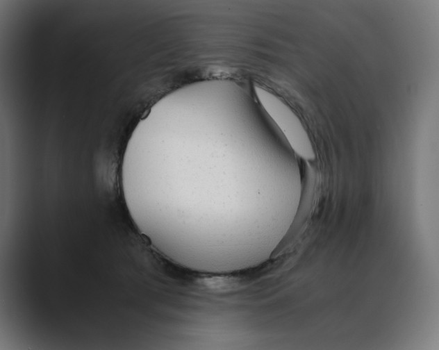 X0000088420417200706191219