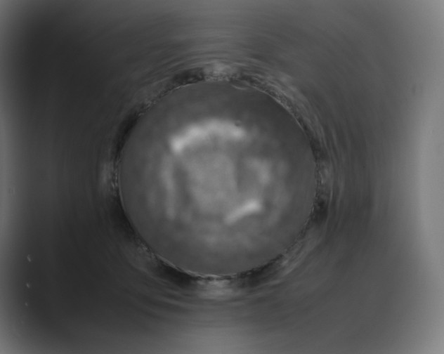 X0000088420419200706191219