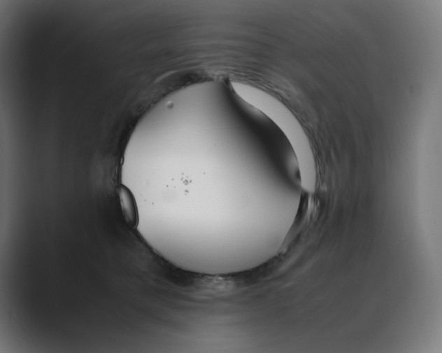 X0000088420421200706191219