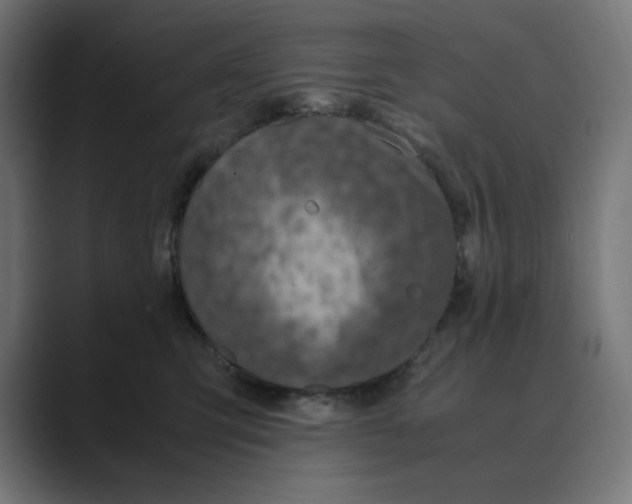 X0000088420423200706191219