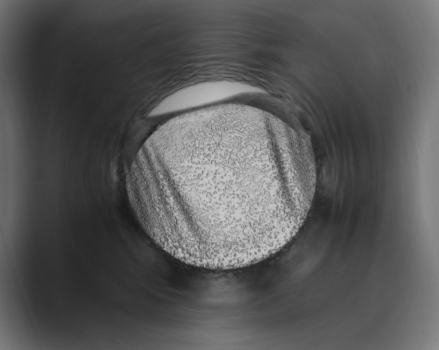 X0000088420424200706191219