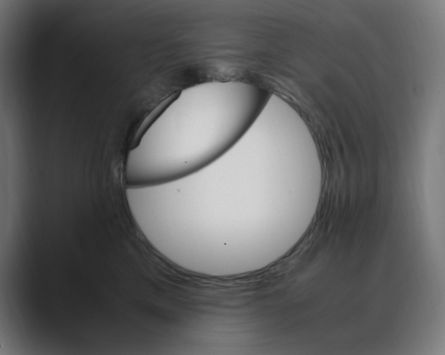 X0000088420425200706191219