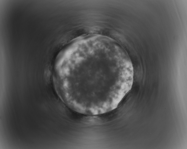 X0000088420427200706191219