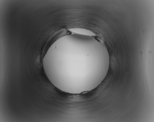 X0000088420428200706191219