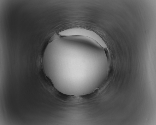 X0000088420429200706191219