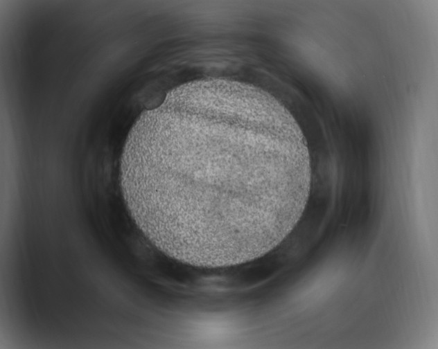 X0000088420430200706191219