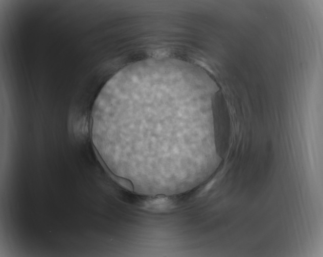 X0000088420431200706191219
