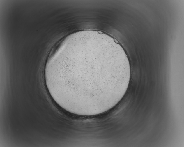 X0000088420433200706191219