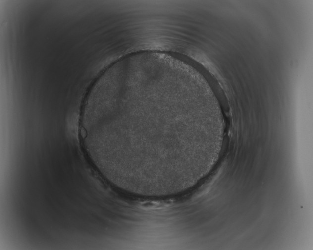 X0000088420434200706191219