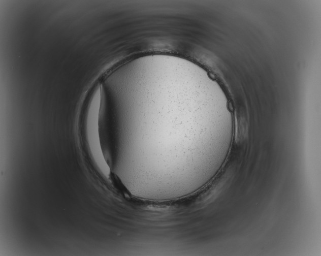 X0000088420435200706191219