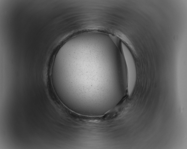 X0000088420436200706191219