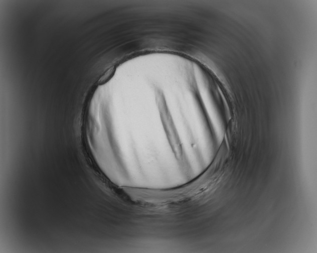 X0000088420437200706191219