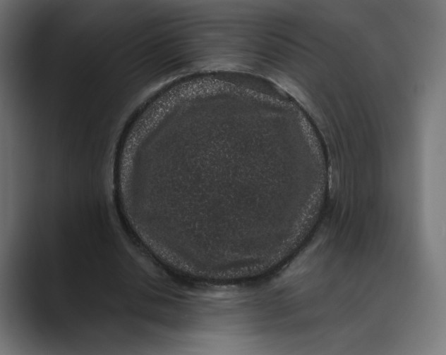 X0000088420438200706191219