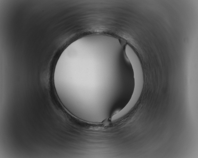 X0000088420440200706191219