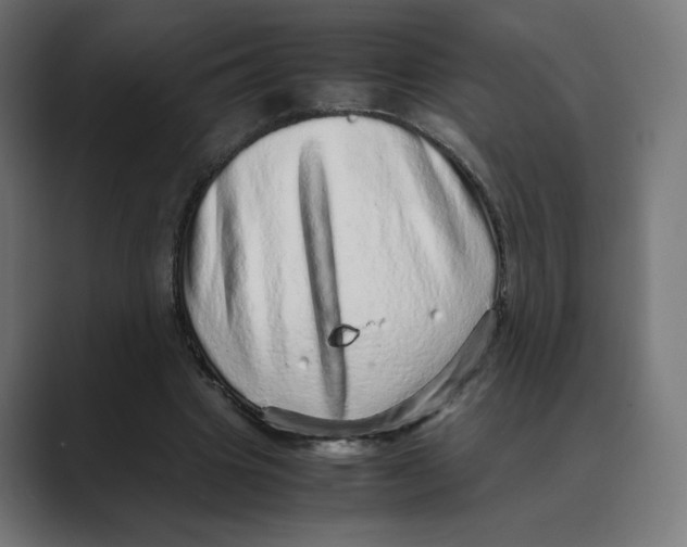 X0000088420441200706191219