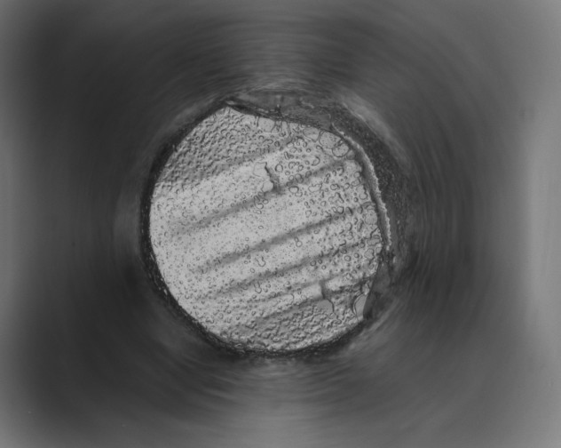 X0000088420442200706191219