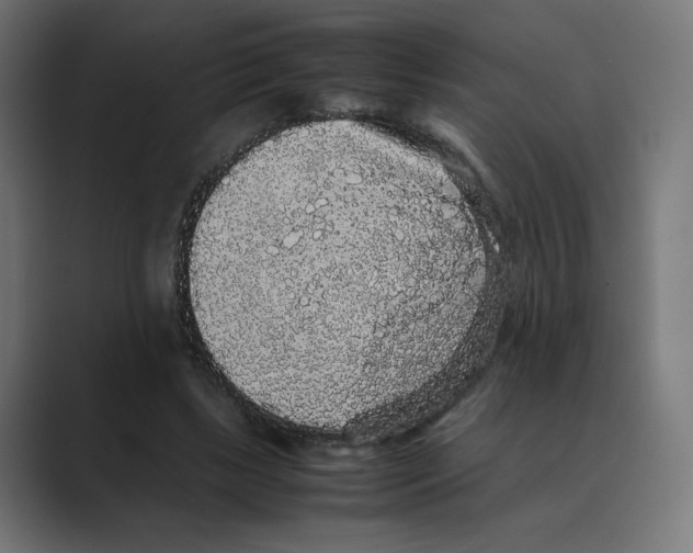 X0000088420443200706191219