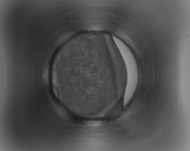 X0000088420444200706191219