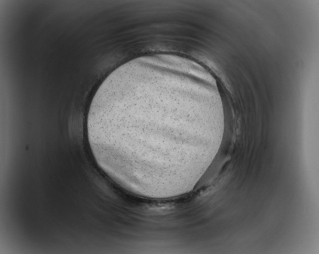 X0000088420445200706191219