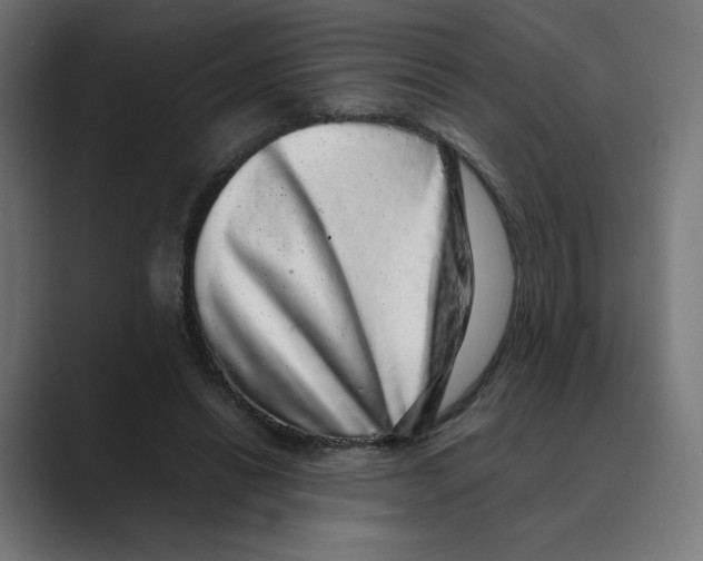 X0000088420446200706191219