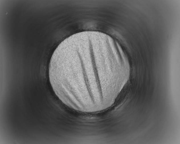 X0000088420449200706191219