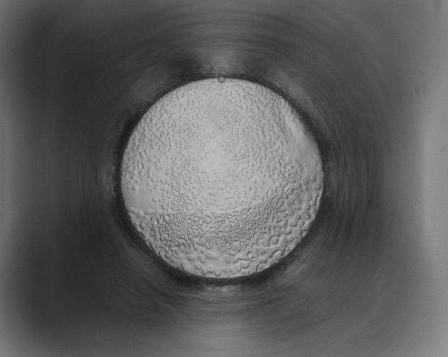 X0000088420450200706191219