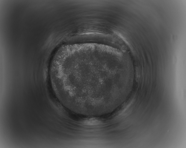 X0000088420451200706191219