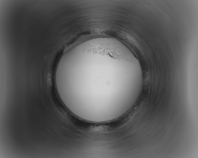 X0000088420452200706191219