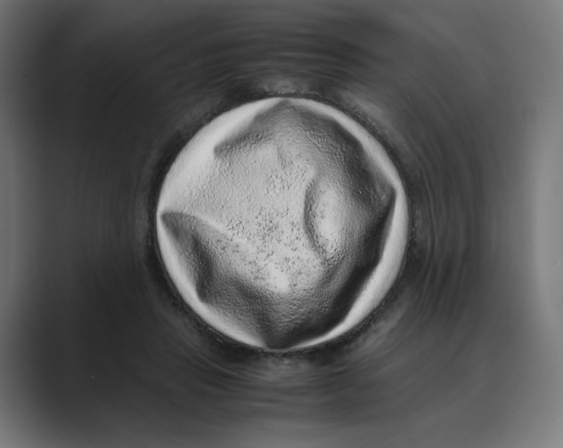 X0000088420453200706191219